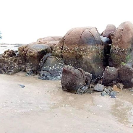 Nha Nghi Viet Thang Bau Doi Екстер'єр фото